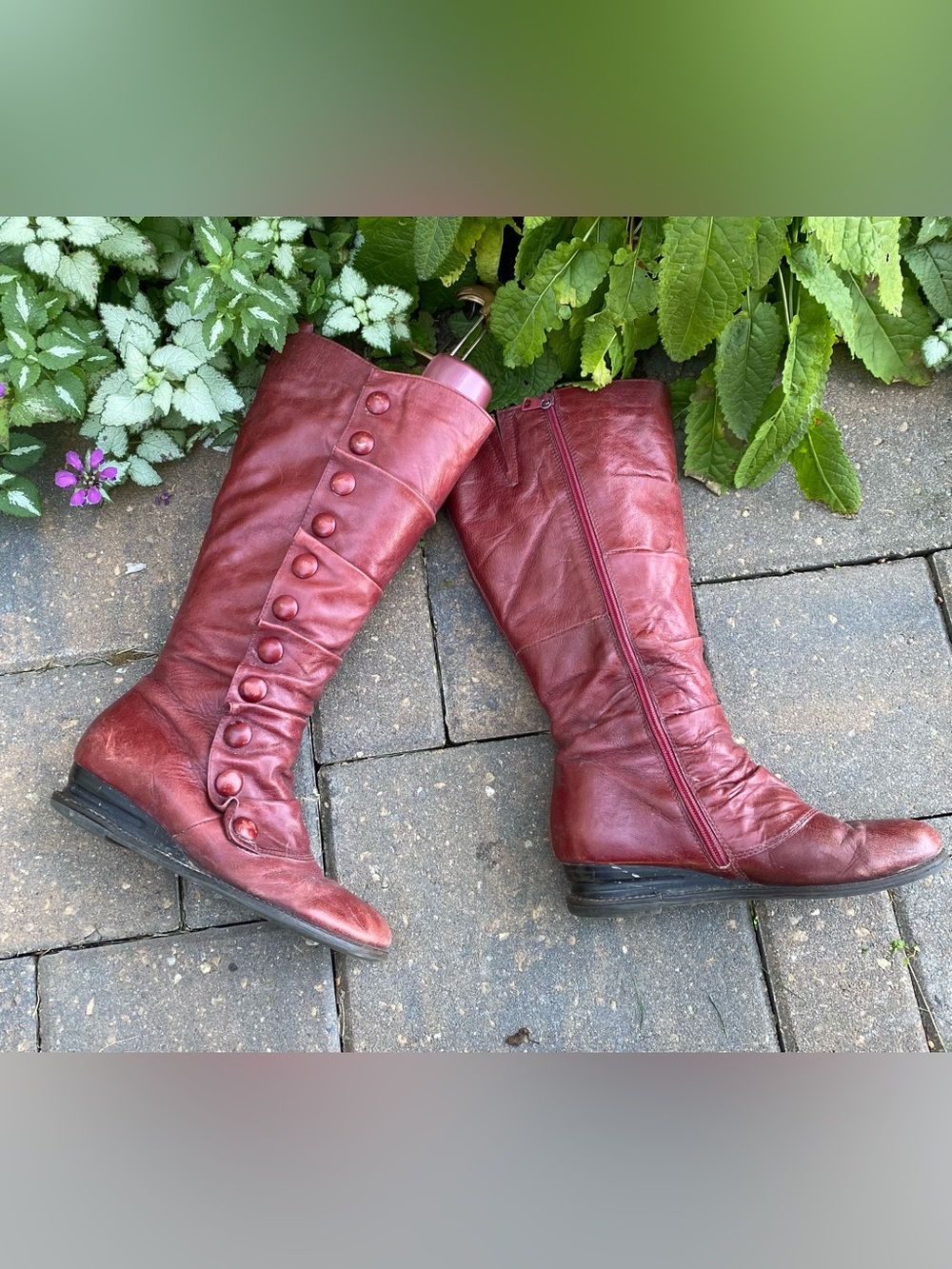 Miz Mooz Bloom Oxblood Leather Button Trim Knee High Boots Sz 7 - Issues Fall